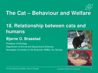 Relationship Between Cats and Humans: Insights from Research