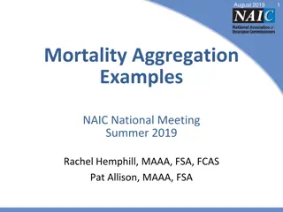 Mortality Aggregation Examples at NAIC National Meeting