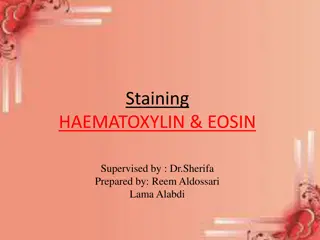 H&E Staining in Histology