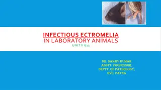 Understanding Infectious Ectromelia in Laboratory Animals