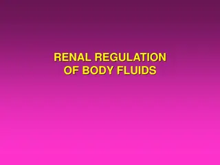 Renal Regulation of Body Fluids