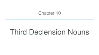 Understanding Third Declension Nouns and Translation Practice