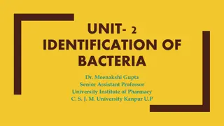 Bacteria Identification Techniques: Staining and Microscopy Overview