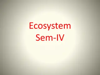 Ecosystems: Structure, Components, and Functions