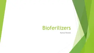 Understanding Biofertilizers and Their Role in Sustainable Agriculture