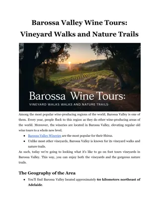 Barossa Valley Wine Tours_ Vineyard Walks and Nature Trails