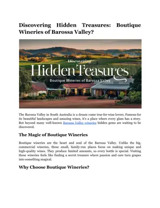 Discovering Hidden Treasures: Boutique Wineries of Barossa Valley?