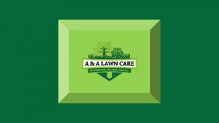 Lawn Care And Pest Control At A&A Lawncare