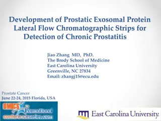 Development of Prostatic Exosomal Protein Lateral Flow Chromatographic Strips for Chronic Prostatitis Detection