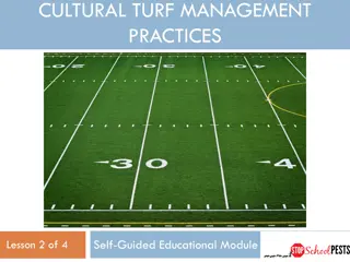 Best Practices for Turf Management