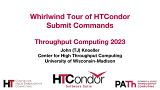 HTCondor Submit Commands Overview