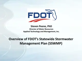 FDOT's Statewide Stormwater Management Plan (SSWMP)