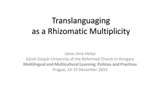 Unpacking Translanguaging as a Rhizomatic Multiplicity