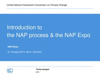 The National Adaptation Plan Process