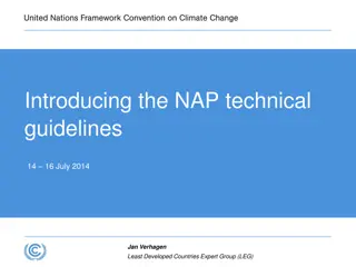 NAP Technical Guidelines Overview