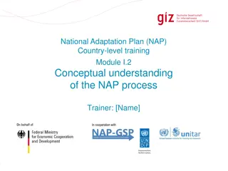 The National Adaptation Plan (NAP) Process