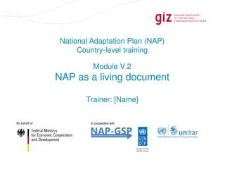 Insights into National Adaptation Plan (NAP) Revision and Adjustment Process