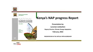 Kenya's NAP Progress Report Presentation: Challenges, Methodologies, and Lessons Learnt