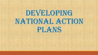 Developing National Action Plans for Sustainable Development