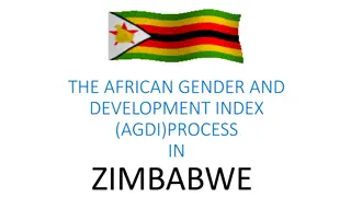 The African Gender and Development Index (AGDI) Process in Zimbabwe