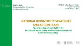 National Biodiversity Strategies and Action Plans in Light of COP Decisions