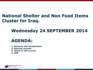 National Shelter and Non-Food Items Cluster for Iraq - Summary and Data Overview