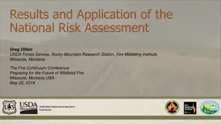 National Wildfire Risk Assessment and Mitigation Strategies