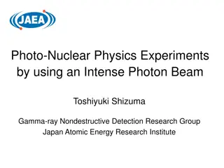 Advanced Photon-Beam Experiments in Nuclear Physics Research