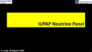 Evolution of the ICFA Neutrino Panel: A Journey Towards International Collaboration