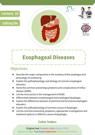 Esophageal Diseases: Anatomy, Physiology, and Disorders