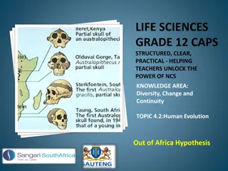 Human Evolution: Out of Africa Hypothesis