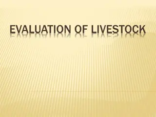 Livestock Evaluation and Cattle Market Priorities