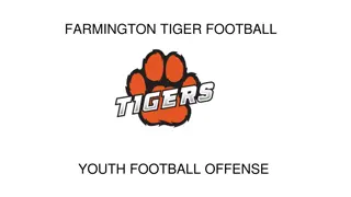 Farmington Tiger Football Youth Offensive Formations and Concepts