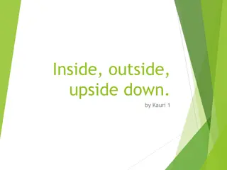 Different Perspectives Through Images in 'Inside. Outside. Upside Down.' by Kauri