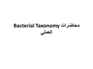 Bacterial Taxonomy and Staining Techniques