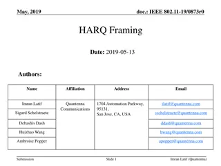 Enhancing HARQ Framing for IEEE 802.11 Standards