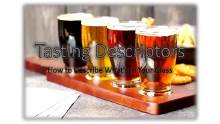 Tasting Descriptors: How to Describe Sensory Elements in Your Glass