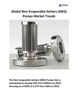 Non-Evaporable Getters (NEG) Pumps market