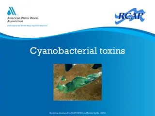 Understanding Cyanobacterial Toxins Workshop