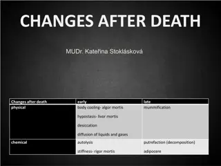 Insights on Changes After Death and Definition of Death in Medical Science