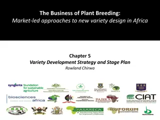 Effective Variety Development Strategy for Plant Breeders in Africa