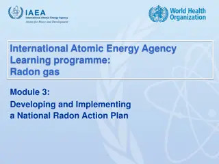 Developing and Implementing a National Radon Action Plan: Key Phases and Considerations