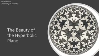 Hyperbolic Geometry and Tiling Patterns