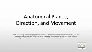 Anatomical Planes, Directions, and Movement in Human Body