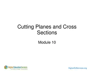 Cutting Planes and Cross Sections in Module 10