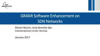 Enhancing SDN Networks with GRAMI Software: A Study by Shlomi Nissim and Anat Bremler-Bar