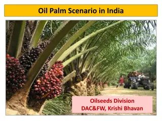 Oil Palm Cultivation and Uses in India: A Comprehensive Overview