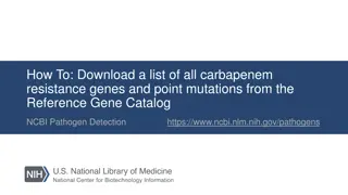 How to Download Carbapenem Resistance Genes from NCBI Reference Gene Catalog