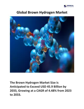 Global Brown Hydrogen Market