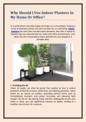 Indoor Planters In My Home Or Office